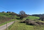 Non-developable land for sale on España, Boo de Piélagos, ref: TR355135 photo