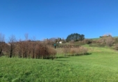 Non-developable land for sale on España, Boo de Piélagos, ref: TR355135 photo