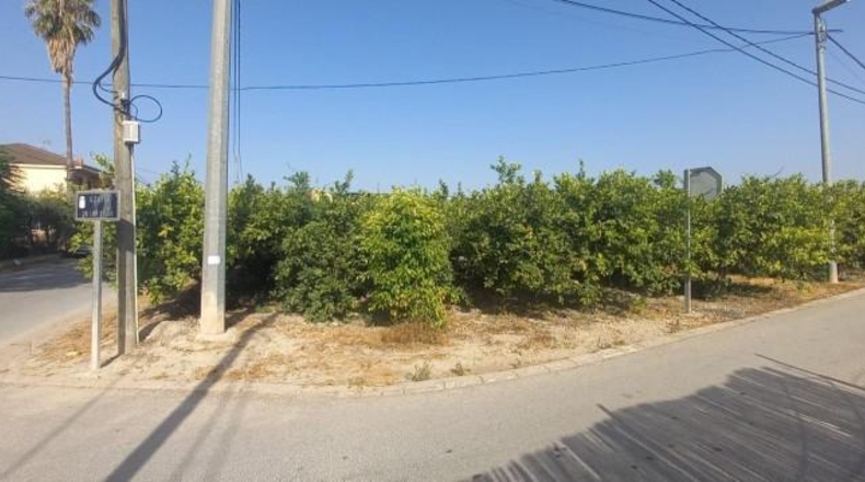 Múrcia - Murcia - 2300m2