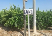 Земля на продажу у города Мурсия Фото