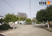 Casa de pueblo en venta en la España, Peñaflor, ref: TR405956 foto