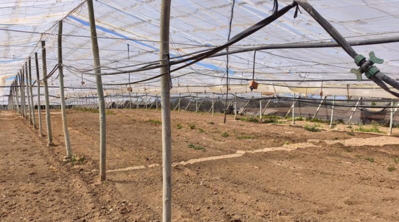 Cádiz - Chipiona - 5300m2