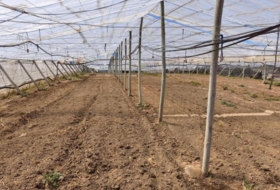 Chipiona 5300&nbsp;m² 