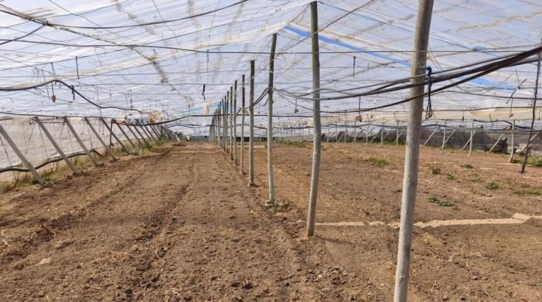 Cádiz - Chipiona - 5300m2