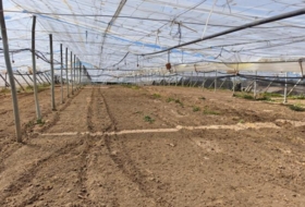 Chipiona 5300&nbsp;m² 