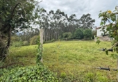 Non-developable land for sale on España, Roiz, ref: TR408363 photo