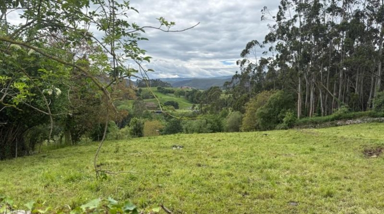 Cantabria - Roiz - 3012m2
