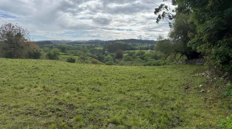 Cantabria - Roiz - 3012m2