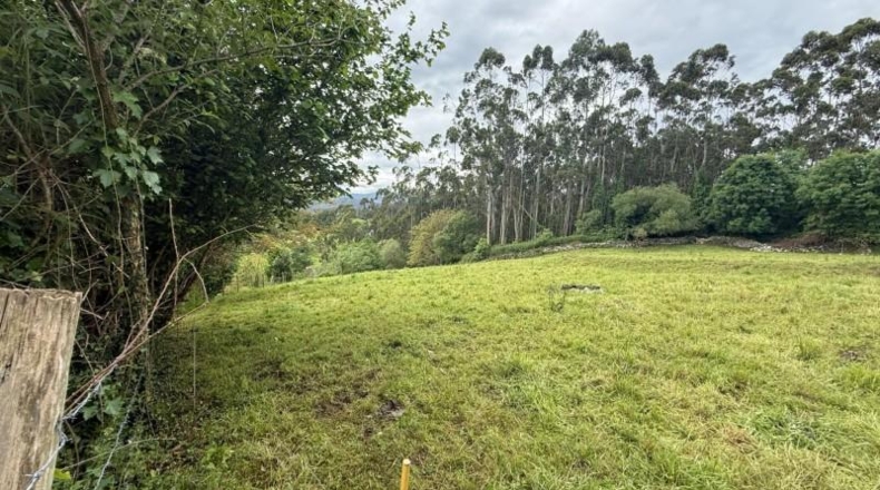 Cantabria - Roiz - 3012m2