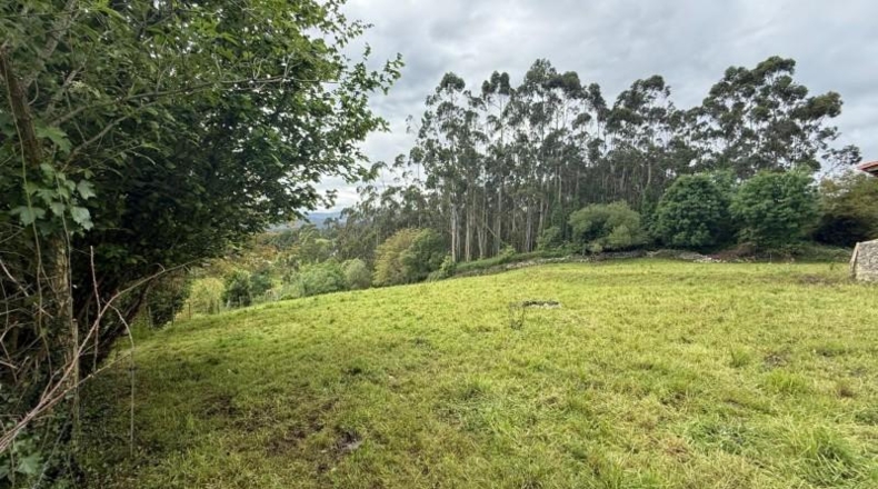 Cantabria - Roiz - 3012m2