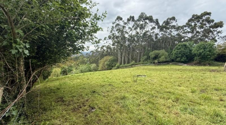 Cantabria - Roiz - 3012m2