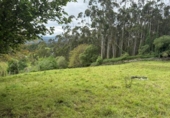 Non-developable land for sale on España, Roiz, ref: TR408363 photo