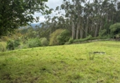 Non-developable land for sale on España, Roiz, ref: TR408363 photo