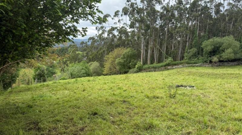 Cantabria - Roiz - 3012m2