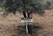 Sòl urbà en venda a la España, Rincón de la Victoria, ref.: TR403683 foto