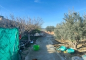 Chalet independiente con terreno en venta en la España, Aspe, ref: TR399333 foto