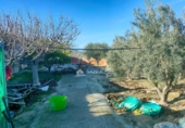 Chalet independiente con terreno en venta en la España, Aspe, ref: TR399333 foto