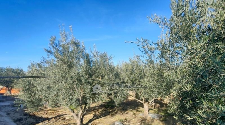 Alicante - Aspe - 2624m2