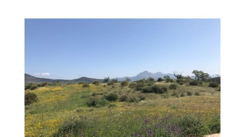 Málaga - Casabermeja - 100000m2