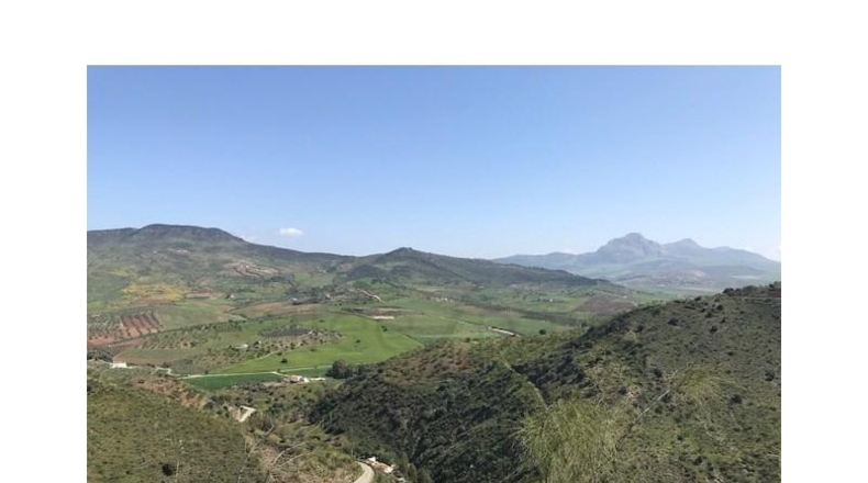 Málaga - Casabermeja - 100000m2