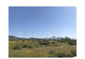 Chalet independiente con terreno en venta en la España, Casabermeja, ref: TR358638 foto