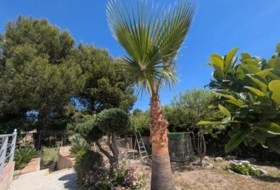 Molina de Segura 190&nbsp;м²