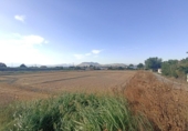 Urban land for sale on España, Belicena, ref: TR170650 photo