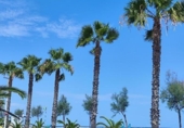 Urban land for sale on España, Moncofa, ref: TR367634 photo