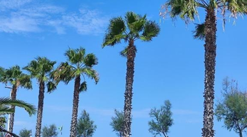 Castellón - Moncófar - 1027m2