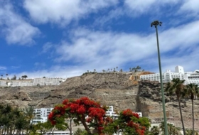 Playa de Mogán 1195&nbsp;m² 