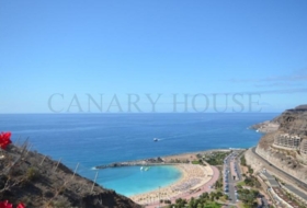 Playa de Mogán 1195&nbsp;m² 