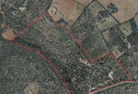 Llucmajor 229000&nbsp;m²