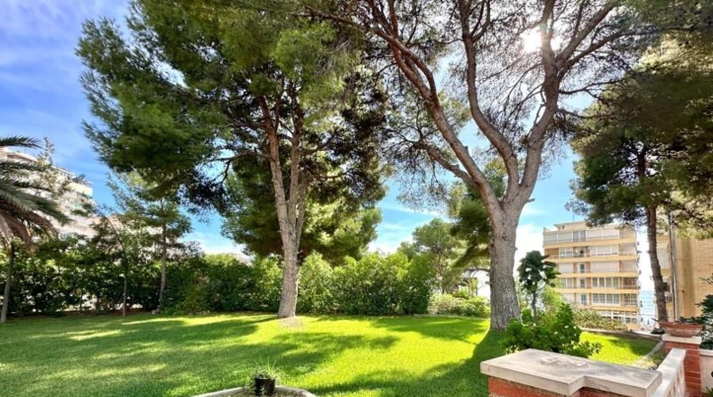 Alicante - Campello - 1500m2