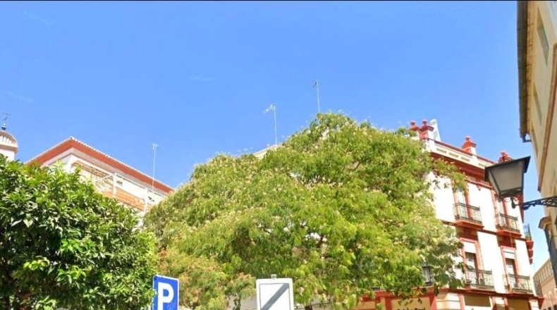 Sevilla - Seville - 417m2