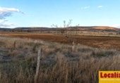 Non-developable land for sale on Carretera de la Seca, Pomar de Valdivia, ref: TR408377 photo