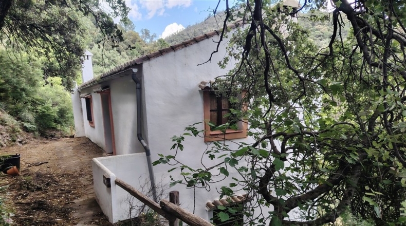 Málaga - Jubrique - 8000m2