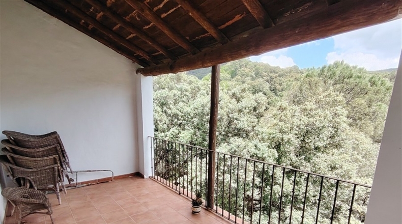 Málaga - Jubrique - 8000m2
