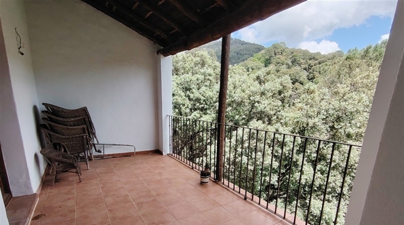 Málaga - Jubrique - 8000m2