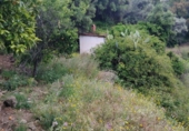 Masia with land for sale on Camino de los Pedregales, Jubrique, ref: TR408803 photo