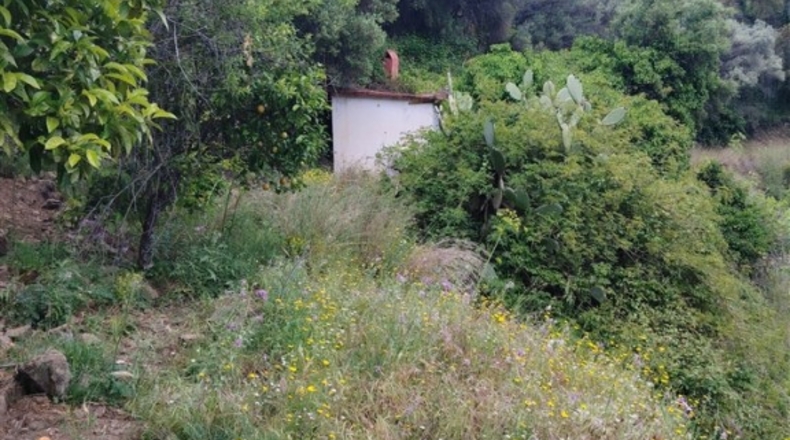 Málaga - Jubrique - 8000m2