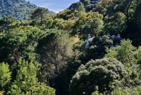 Jubrique 8000&nbsp;m² 