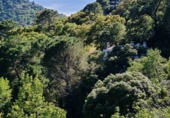 Masia with land for sale on Camino de los Pedregales, Jubrique, ref: TR408803 photo