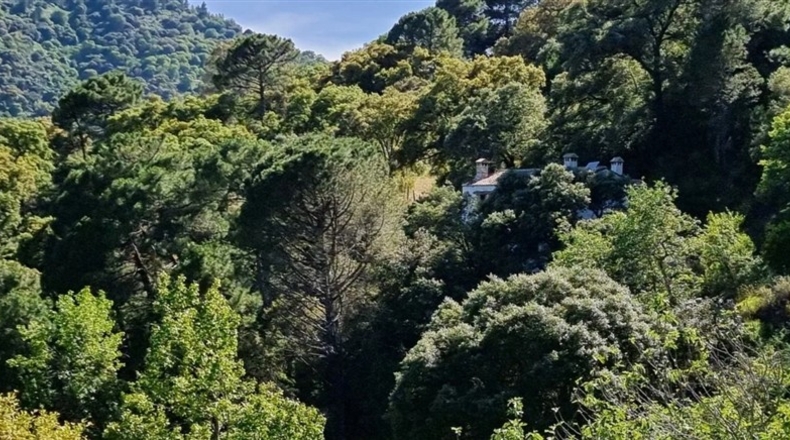 Málaga - Jubrique - 8000m2