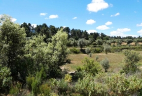 Calaceite 28400&nbsp;m²