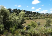 Terreny no urbanitzable en venda a Calaceit ref.: TR408383 foto