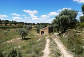 Calaceite 28400&nbsp;m²