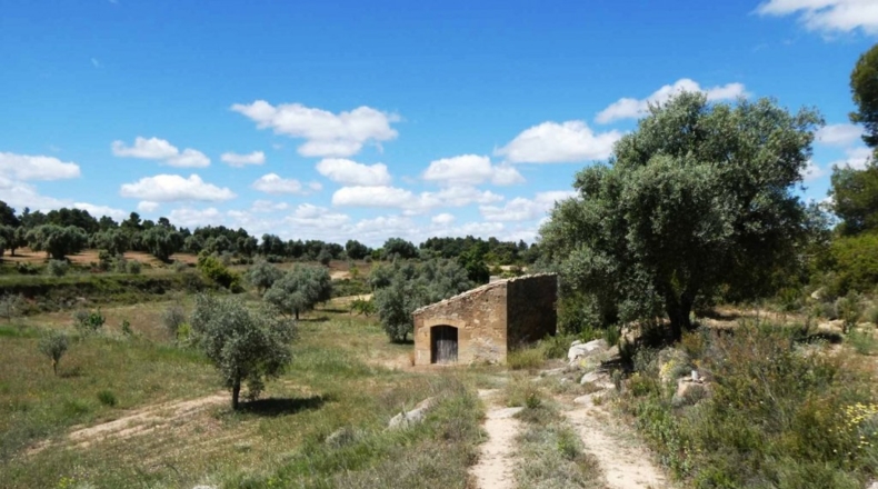 Teruel - Calaceite - 28400m2