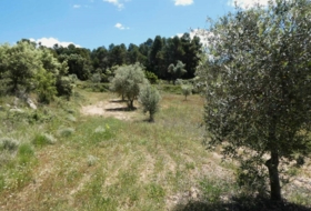 Calaceite 28400&nbsp;m²