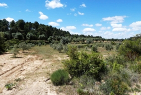 Calaceite 28400&nbsp;m²