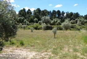 Calaceite 28400&nbsp;m²